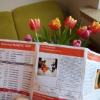 RECENZJA SPEKTAKLU „OD UCHA DO UCHA”